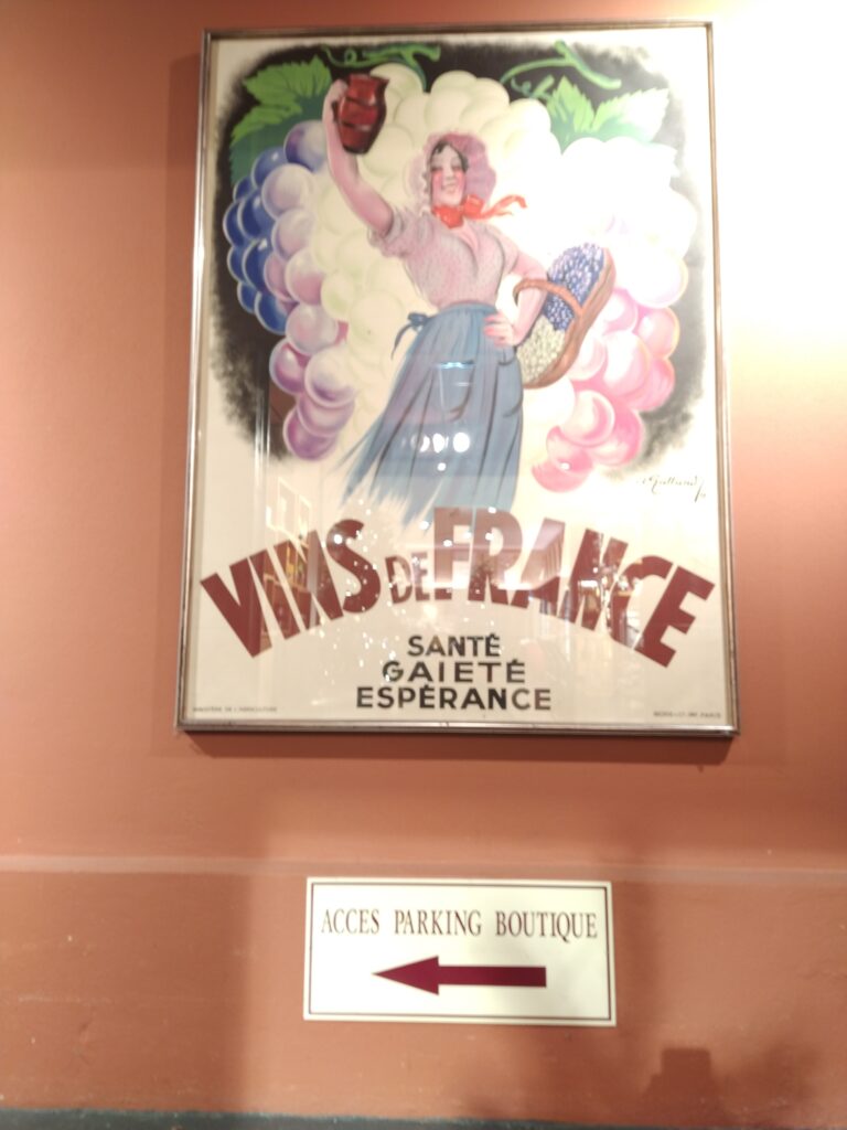 A framed vintage French wine advertising poster titled Vins de France with slogans Sante Gaiete Esperance, featuring a woman holding a pitcher in front of a giant grape cluster.